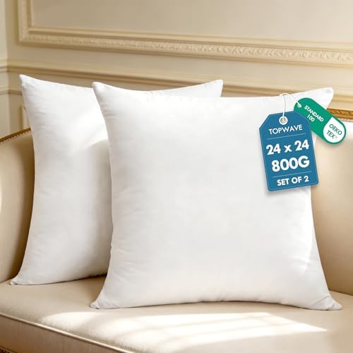 TOPWAVE 24 x 24 decorative throw pillow insert