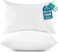 TOPWAVE 20 x 36 oversized pillow insert set of 2