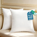 TOPWAVE 18 x 18 decorative pillow inserts set of 2